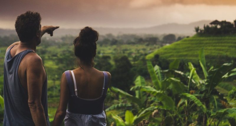 Bali rice fields