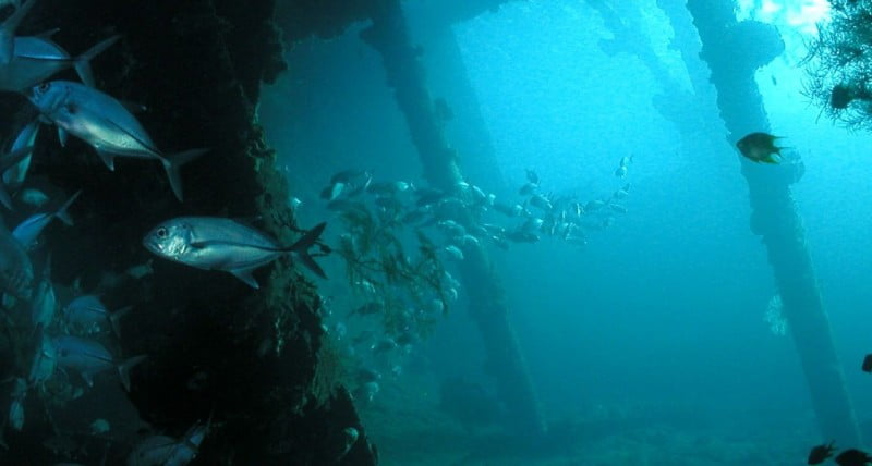 Tulamben Bali