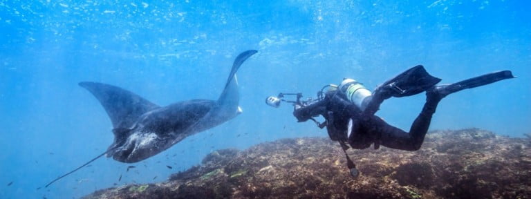 Manta Point Nusa Penida