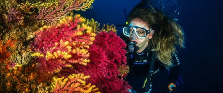 PADI - Enriched Air Nitrox Diver Course