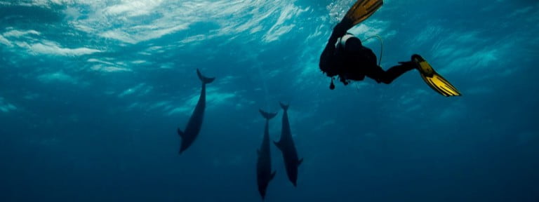 Toyapakeh Nusa Penida